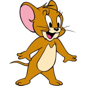 The basics of photography